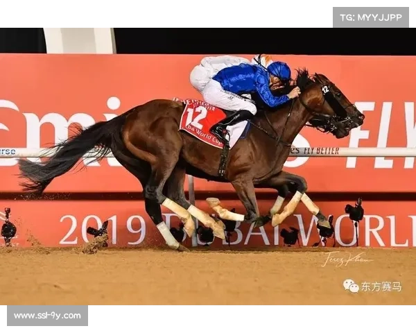 IBA男子精英世锦赛12月迪拜开打，高额奖金引关注