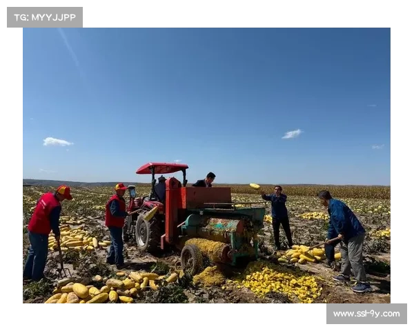 体育元素助力乡村振兴，乡村户外运动有效带动农民增收与地域发展。